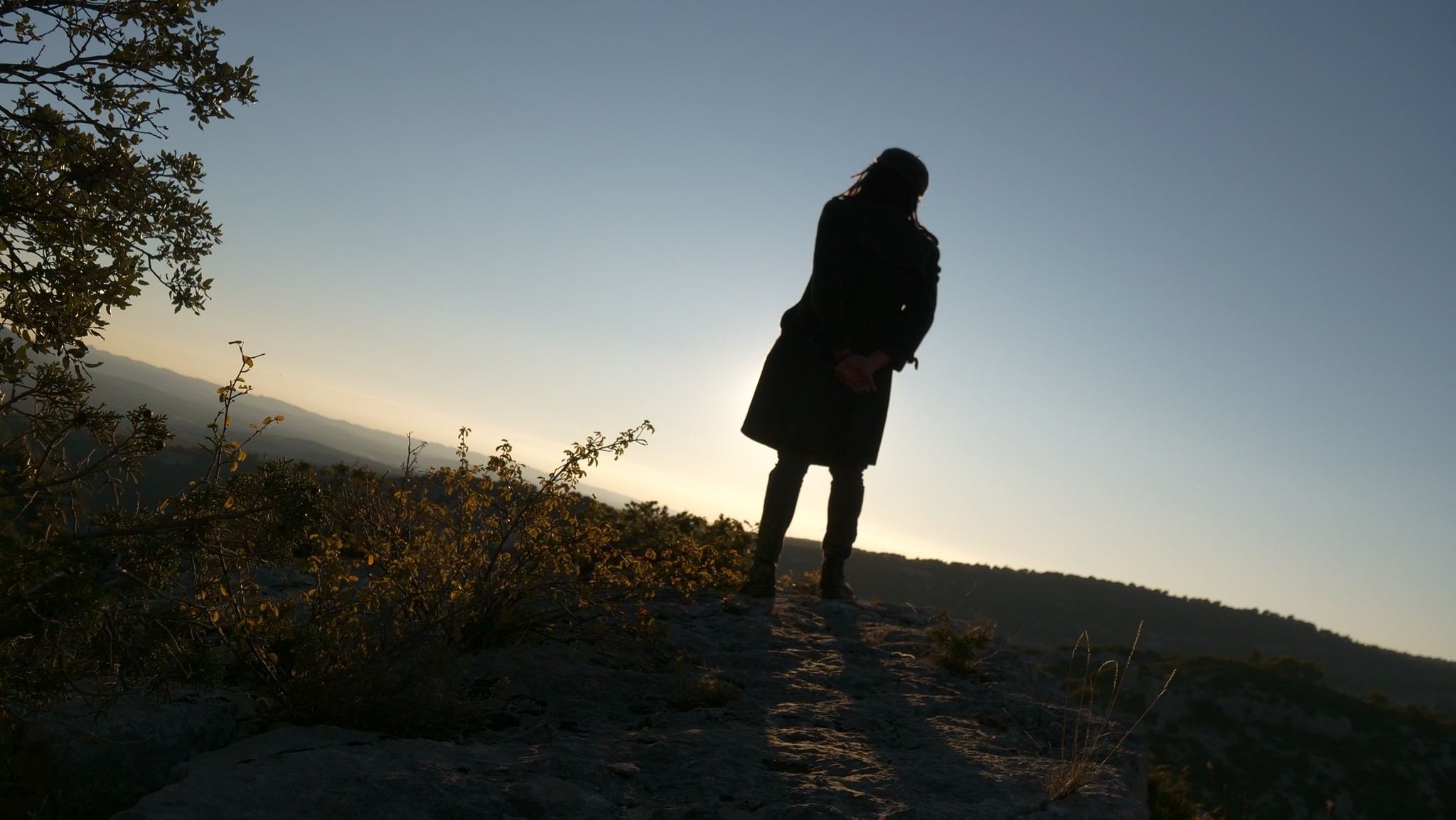 Formation IA éco-responsable - cours intelligence artificielle en harmonie avec le monde